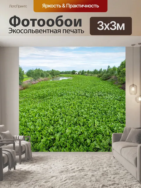 Фотообои Водяной гиацинт