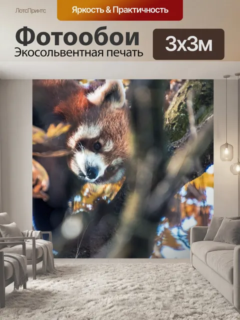 Фотообои Красная панда