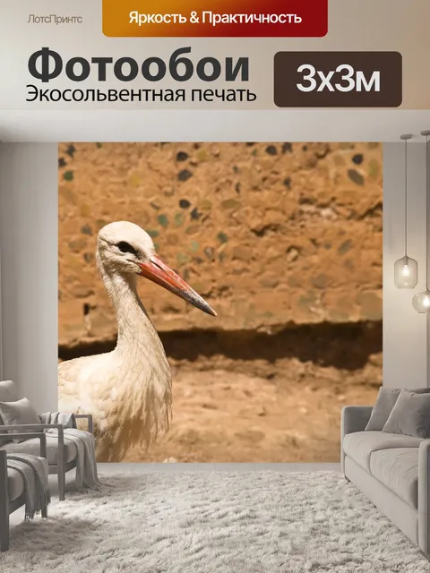 Фотообои Аист