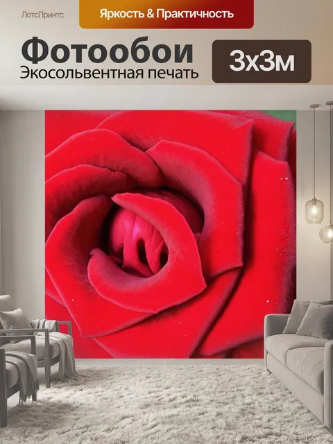 Фотообои Красная роза