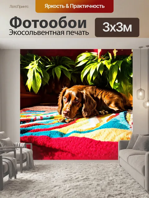 Фотообои спаниель спокойно лежит на разноцветном пледе