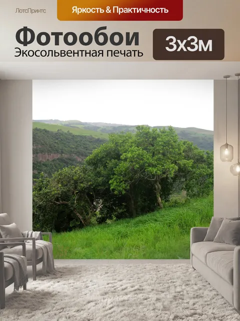 Фотообои деревья на зеленом холме