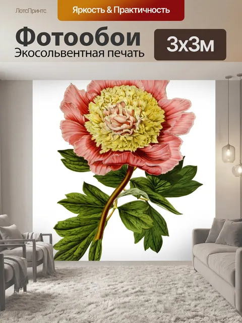 Фотообои Пион Цветок Vintage Art