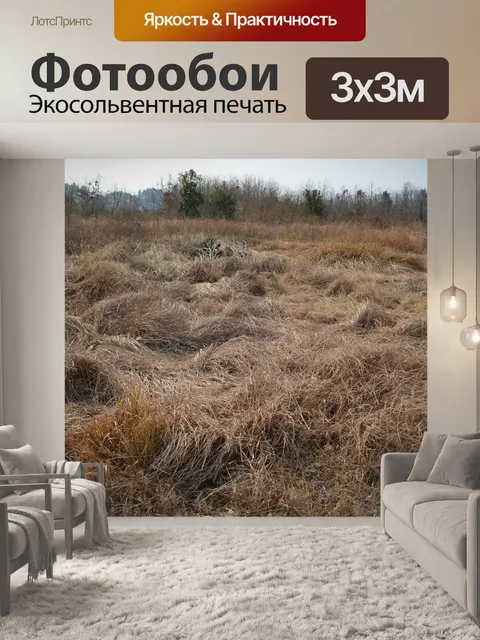 Фотообои Зима
