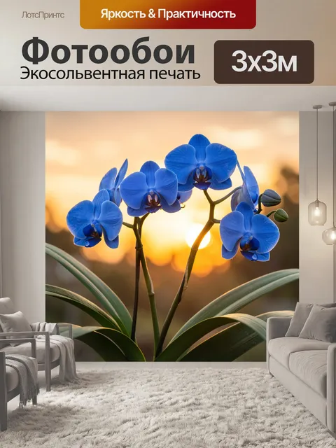 Фотообои Синие орхидеи на солнечном фоне