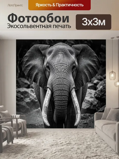 300 × 300 см · Экосольвентная печать