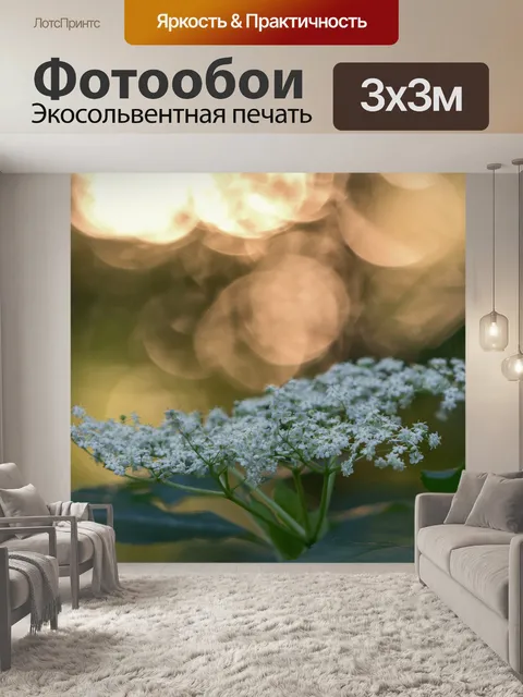 Фотообои Цветочные на закате
