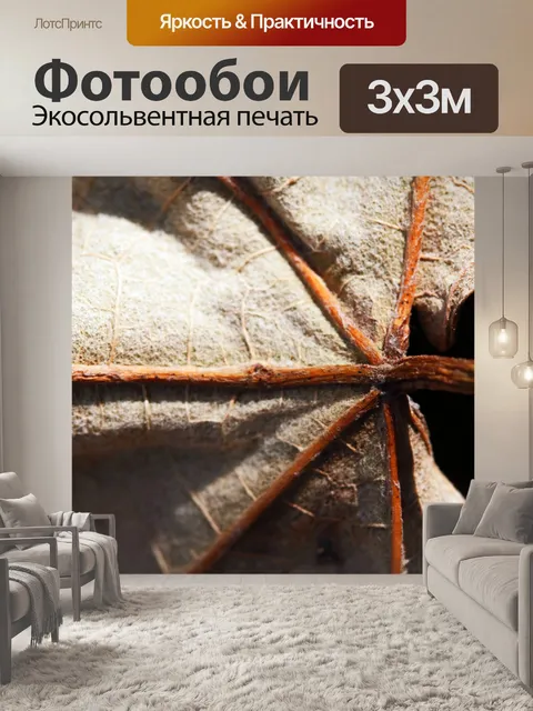 Фотообои под стороной сухого ломкого листа