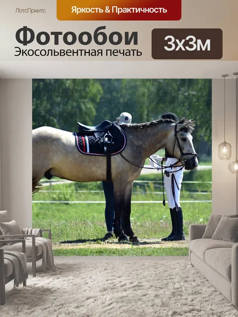 Фотообои Конный спорт