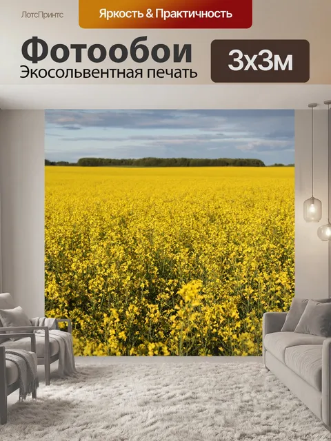 Фотообои Желтое поле канолы