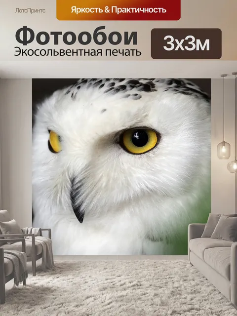 Фотообои Снежная сова