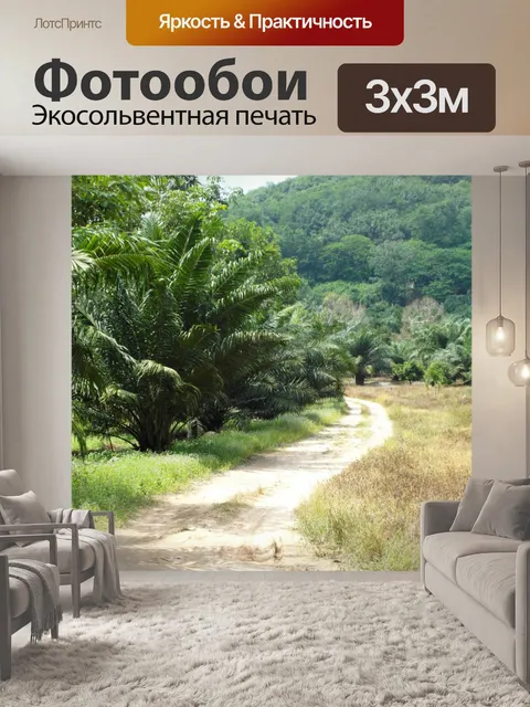 Фотообои Тропический Dirt Road