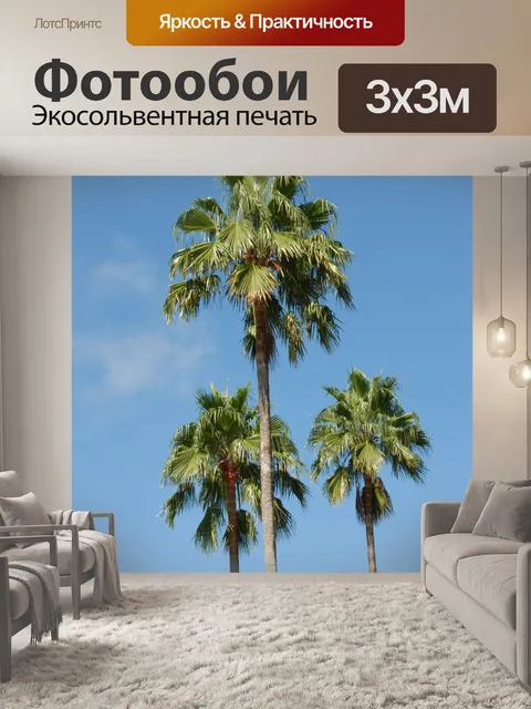 Фотообои Высокие деревья Пальмы