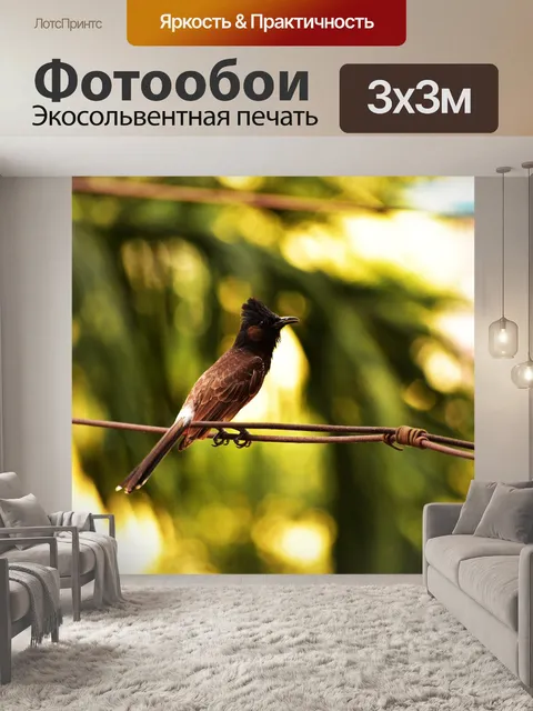 Фотообои Птицы