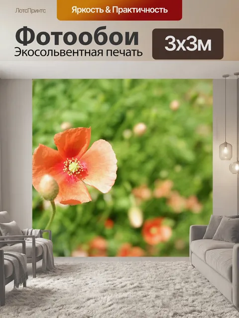Фотообои Мак