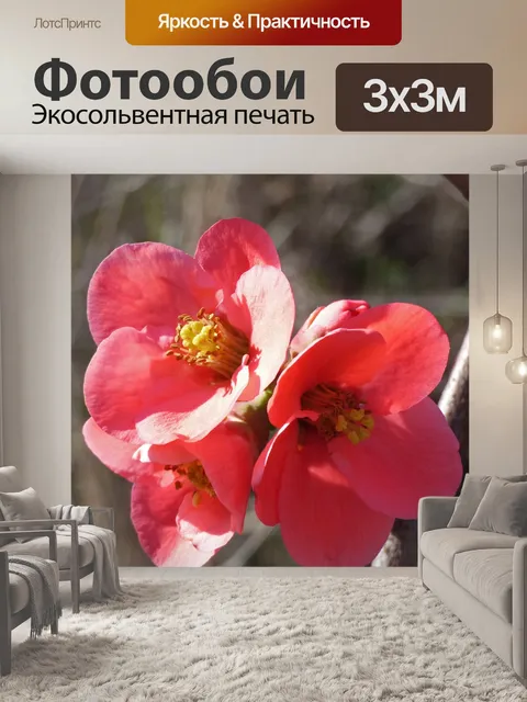 Фотообои Цветок