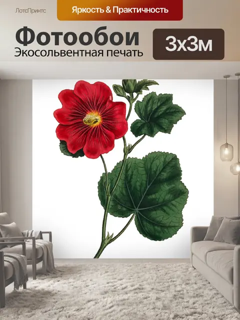 Фотообои Красный цветок винтажный клипарт