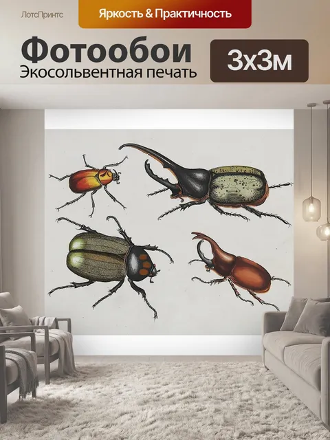 Фотообои Винтажная иллюстрация жука
