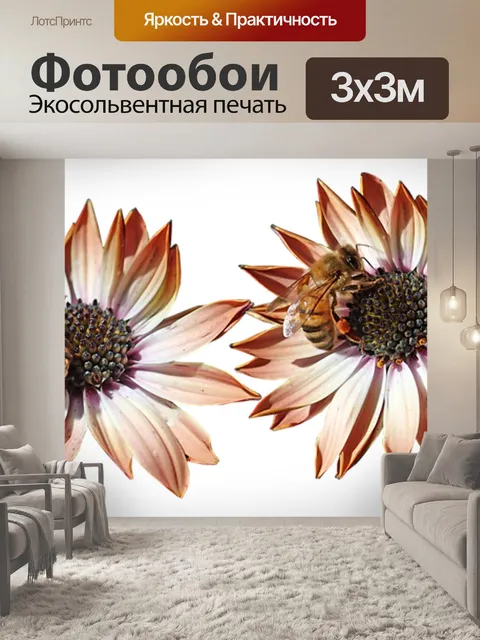 Фотообои Ромашки