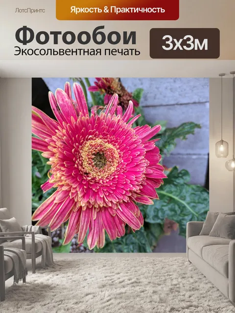 Фотообои Большой розовый цветок