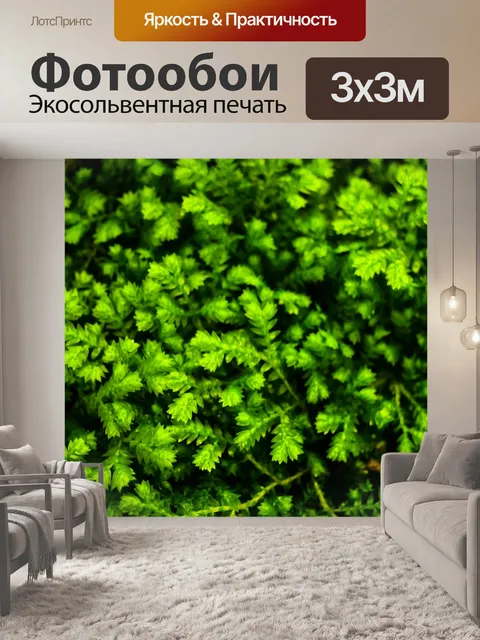 Фотообои Папоротник оставляет зеленый фон