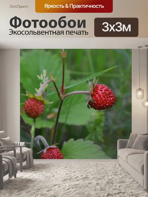 Фотообои Клубника