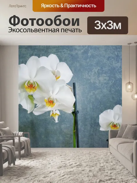 Фотообои Белая орхидея