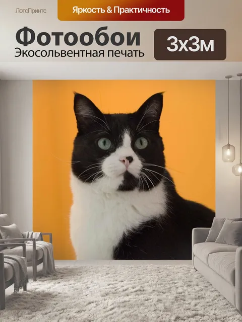 Фотообои Кошка