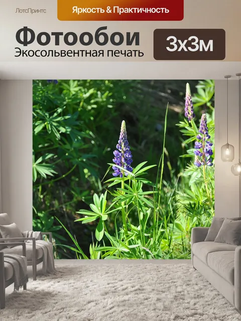 Фотообои Люпины