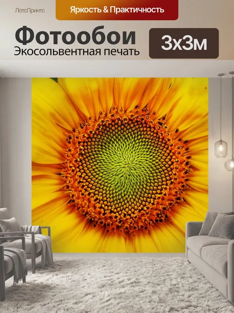 Фотообои Блоссом цветник подсолнух