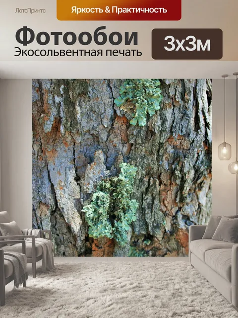 Фотообои ствол дерева с лишайником выращивания