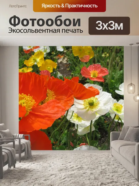 Фотообои Маки
