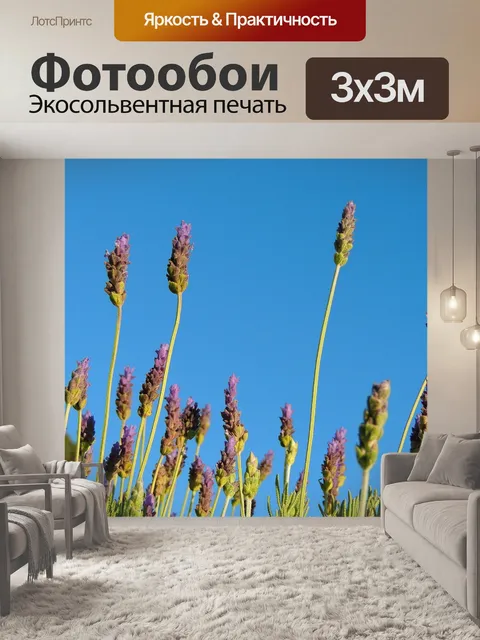 Фотообои Лаванда