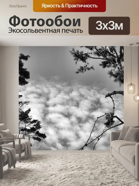 Фотообои верхушки деревьев и облака