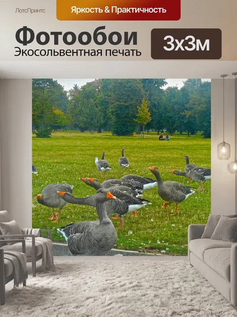 Фотообои Птица