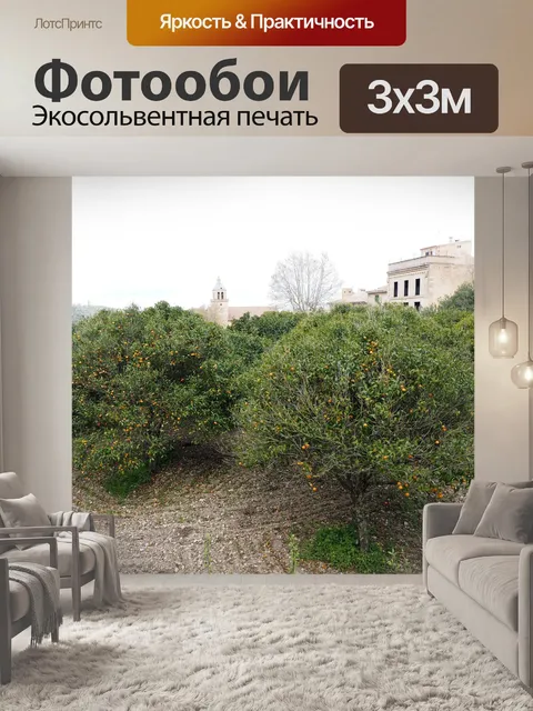 Фотообои Оранжевый роща