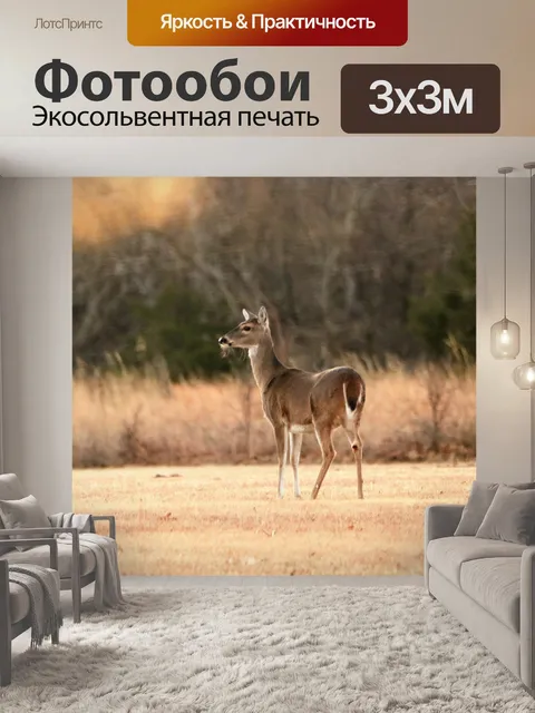 Фотообои Белый хвост Доу на рассвете