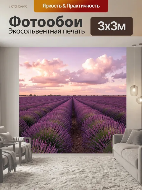 Фотообои Лавандовое поле на закате