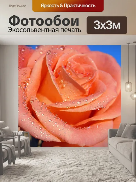 Фотообои Роза