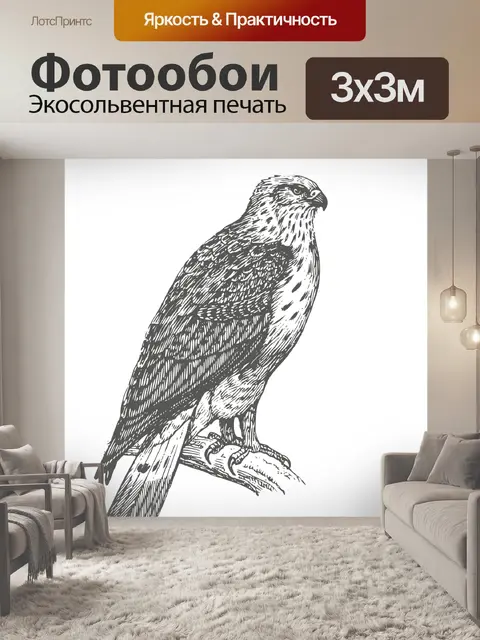 Фотообои Искусство рисования канюка