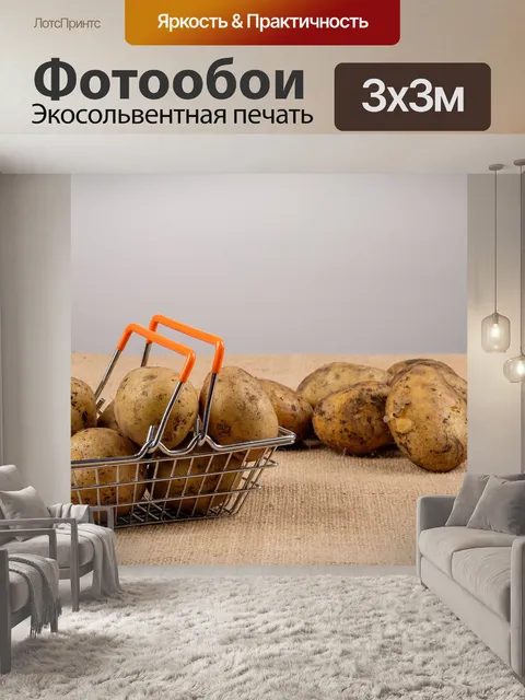 Фотообои Осень