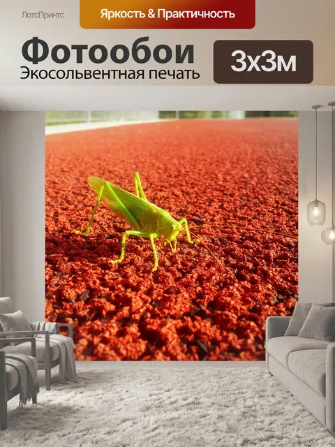 Фотообои Кузнечик