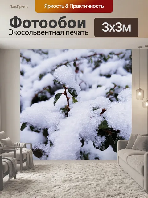 Фотообои Снег