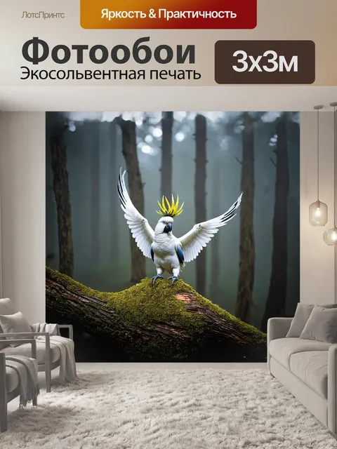 Фотообои величественный какаду с распростёртыми крыльями и поднятой короной перьев на голове