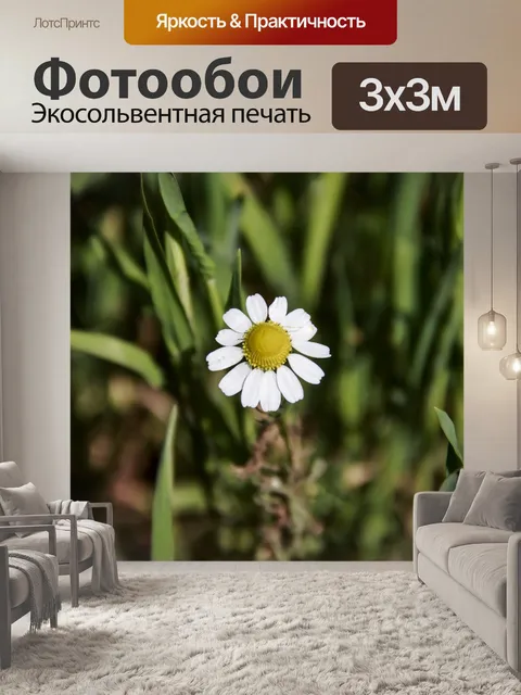 Фотообои Цветок