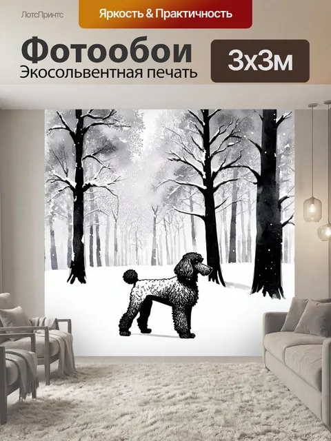 Фотообои зимний лес, где черно-белые деревья стоят в снежной тишине, а рядом с ними элегантно шагает пудель, его…