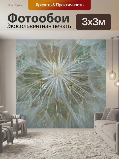 Фотообои Одуванчик