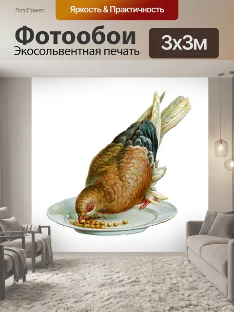 Фотообои Иллюстрация винтажного искусства птиц