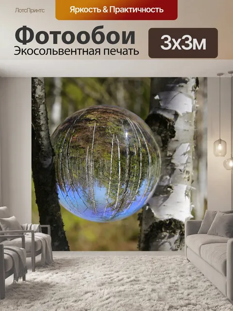 Фотообои Березовый лес
