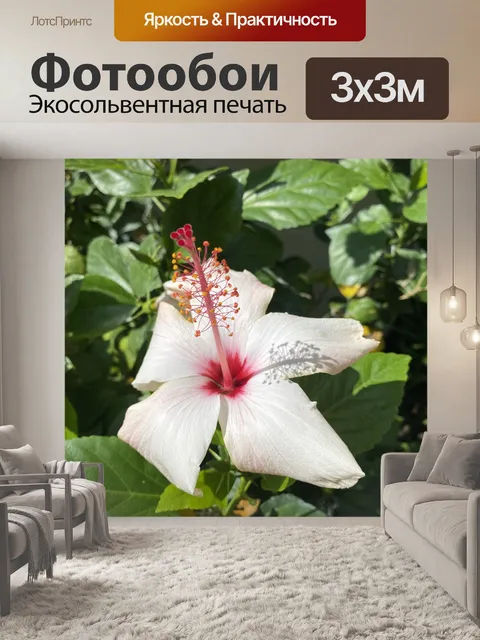 Фотообои Коппер Кинг Гибискус